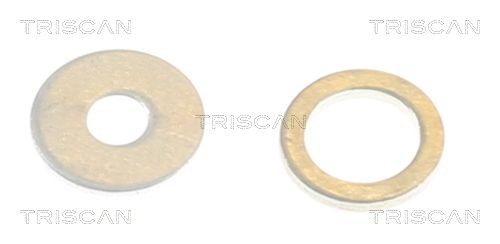 TRISCAN Seal Kit, injector nozzle Article number: 596-1010 cheaply