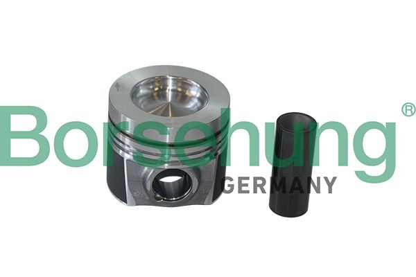 Borsehung Piston Ring Kit Article number: B19298 cheaply