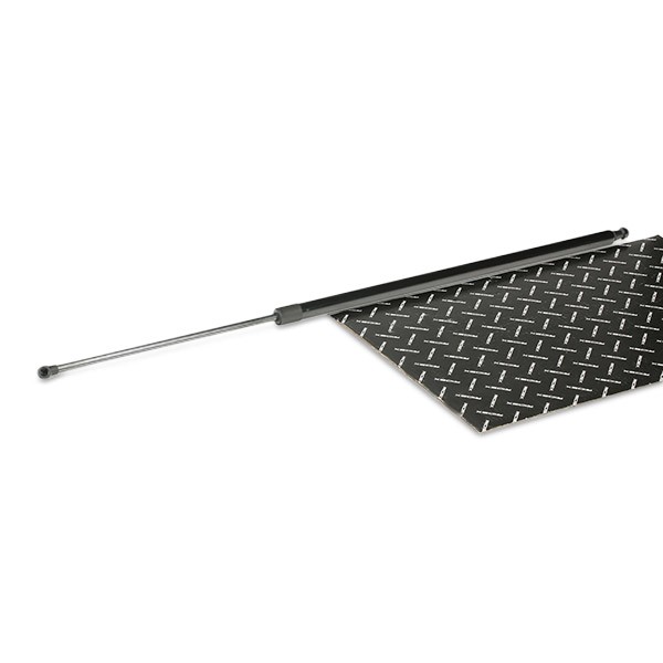 RIDEX Tailgate strut Article number: 219G0974 cheaply