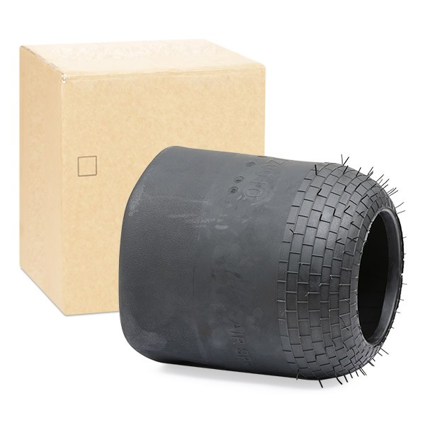 RIDEX Luftbelg artikkelnummer: 4119A0059 billig