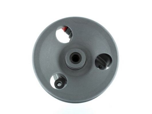 SPIDAN Power steering pump Article number: 54958 cheaply