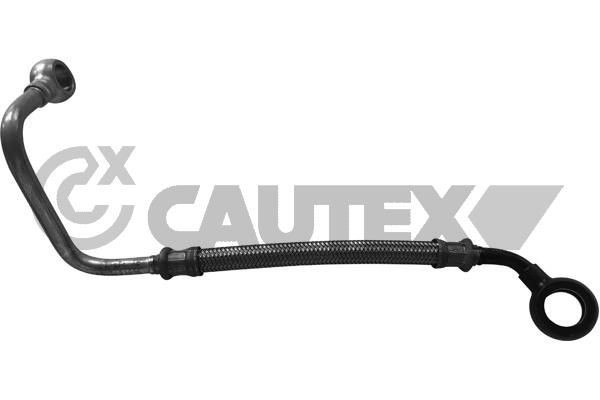 CAUTEX 757095 Õliühendus, kompressor C5 2.0 HDi 136 HP Diisel 2008