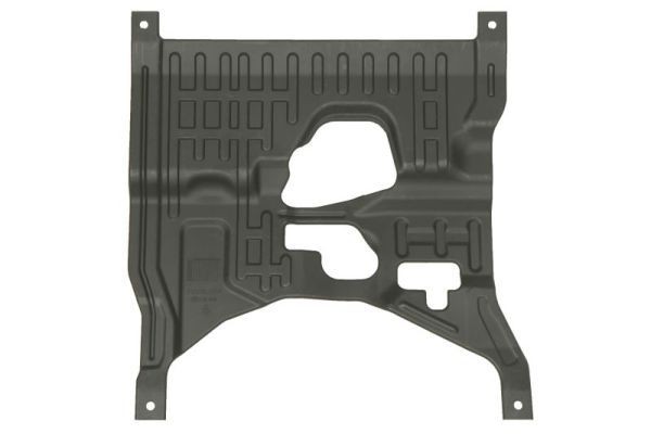 BLIC Engine Cover Article number: 6601-02-0553860Q cheaply