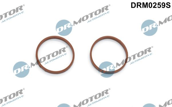 DR.MOTOR AUTOMOTIVE Gasket Set, intake manifold Article number: DRM0259S cheaply