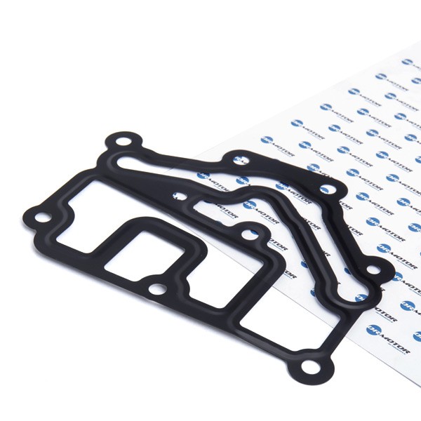 DR.MOTOR AUTOMOTIVE Thermostat housing gasket Article number: DRM0451 cheaply