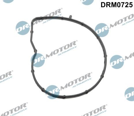 DR.MOTOR AUTOMOTIVE Gasket, water pump Article number: DRM0725 cheaply