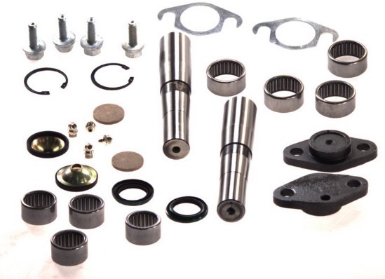 LEMA 101 Kit d'assemblage, pivot de fusée d'essieu Daily 2.5 59-12 V 116 CH Diesel 1999