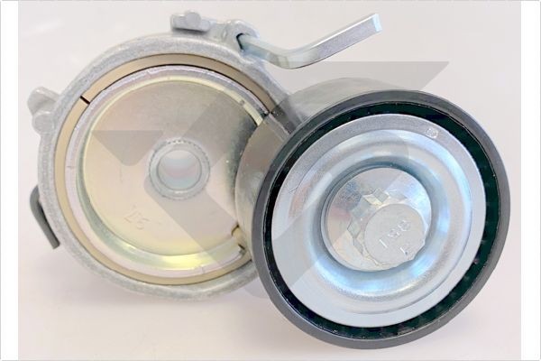 HUTCHINSON Tensioner pulley Article number: T0699 cheaply