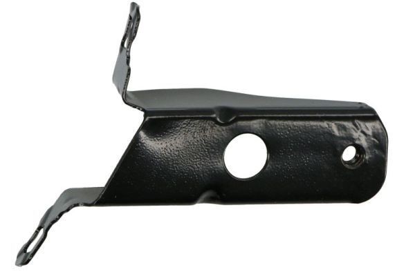 BLIC Holder, mudguard Article number: 7802-03-0063381P cheaply