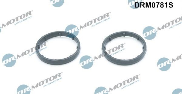 DR.MOTOR AUTOMOTIVE Oil cooler gasket Article number: DRM0781S cheaply
