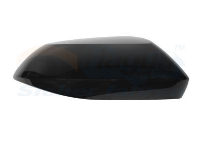 VAN WEZEL Cover, outside mirror Article number: 5415844 cheaply