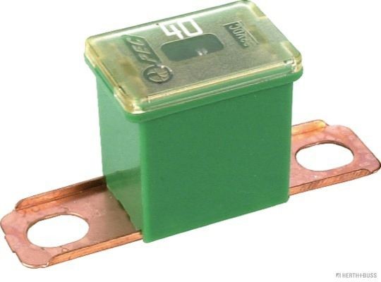 HERTH+BUSS ELPARTS Fuse Article number: 50295463 cheaply