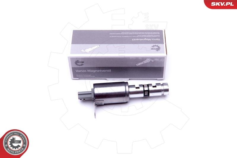 ESEN SKV 39SKV053 Juhtklapp, nukkvõlli asend SCÉNIC 2.0 (JM0S, JM2N) 138 HP Bensiin 2010