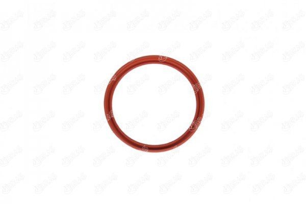 IBRAS Seal, turbo air hose Article number: 11619 cheaply