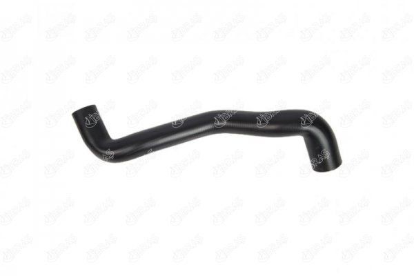 IBRAS Radiator hose Article number: 19953 cheaply