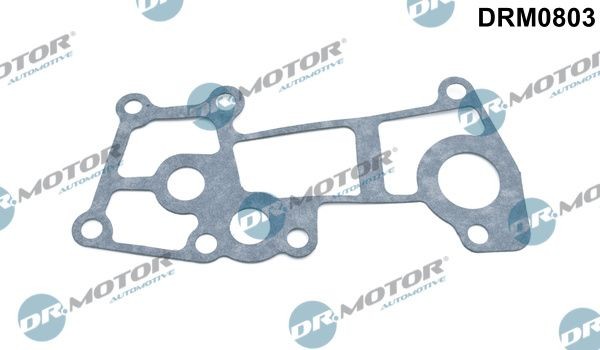 DR.MOTOR AUTOMOTIVE Gasket, coolant flange Article number: DRM0803 cheaply