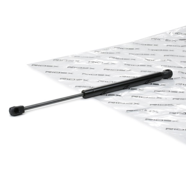 RIDEX Bonnet strut Article number: 514G0167 cheaply