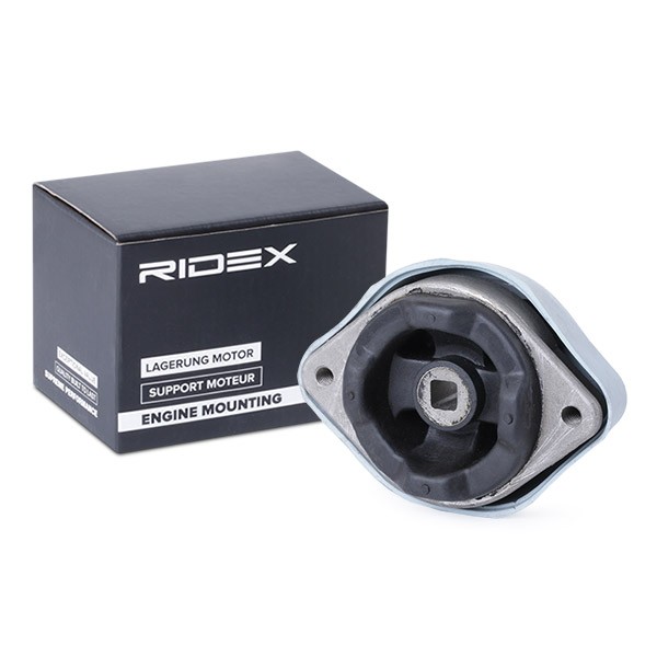 RIDEX Mounting, manual transmission Article number: 249M0171 cheaply