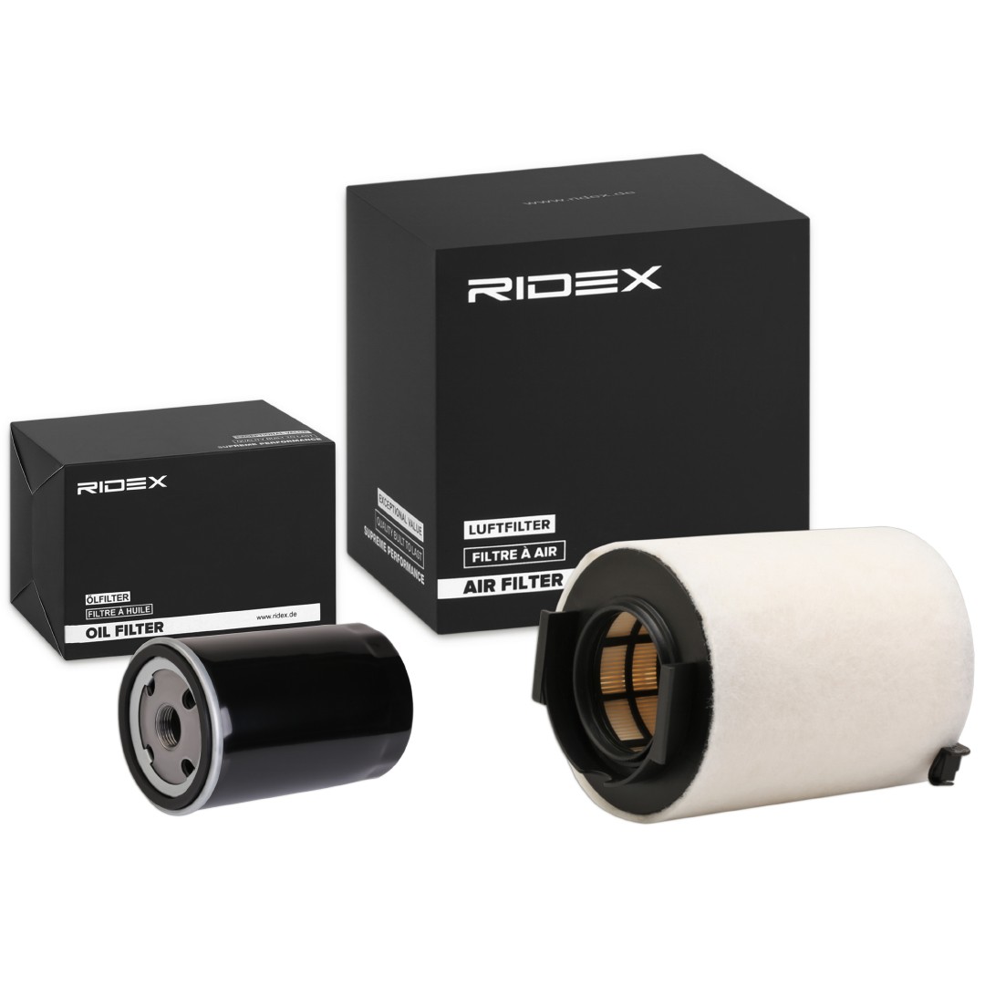 RIDEX Filter kit Article number: 4055F1321 cheaply