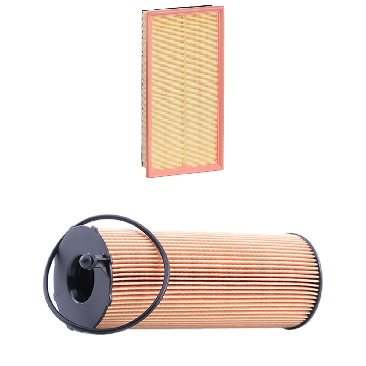 RIDEX Filter kit Varenummer: 4055F1333 billige