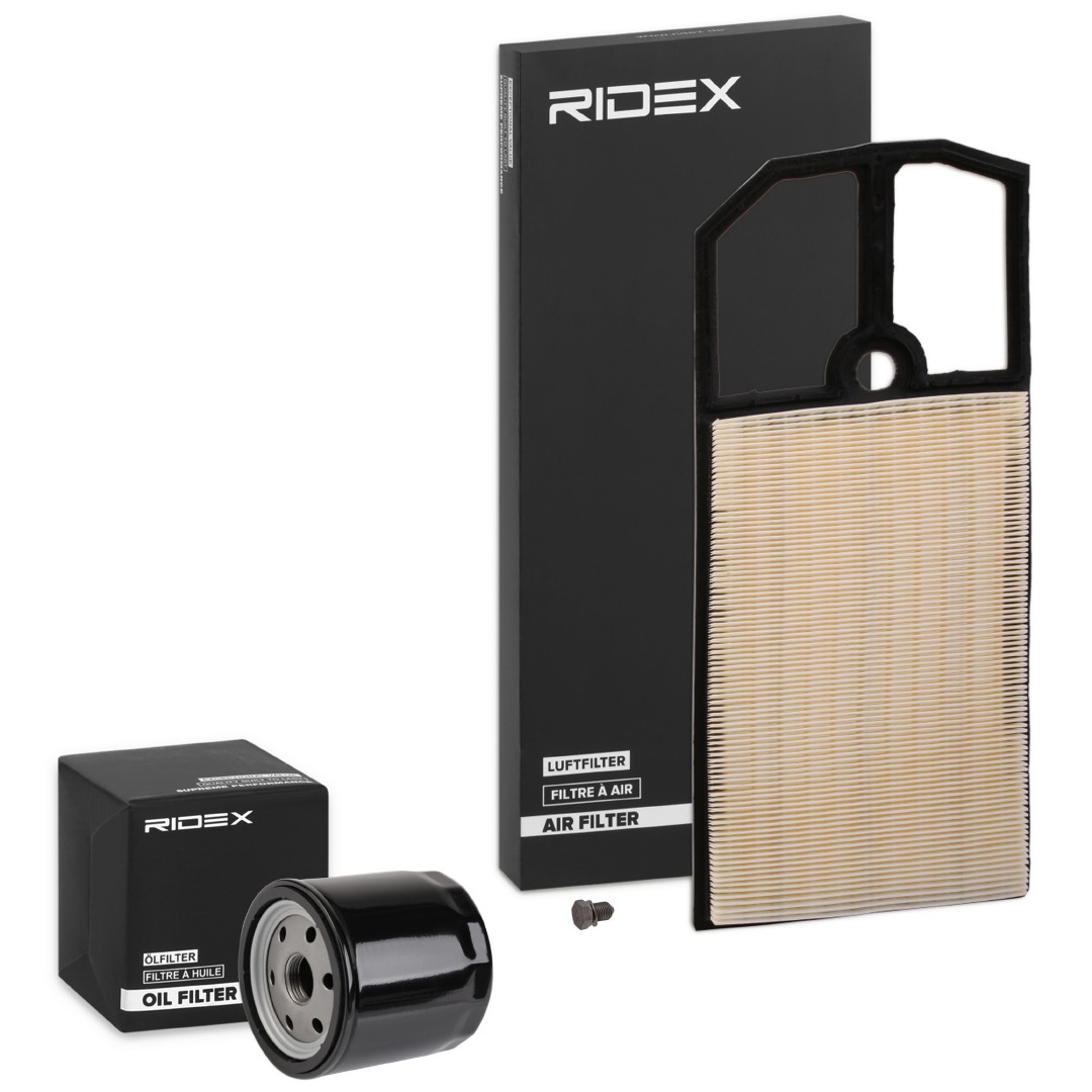 RIDEX Filter kit Varenummer: 4055F2041 billige