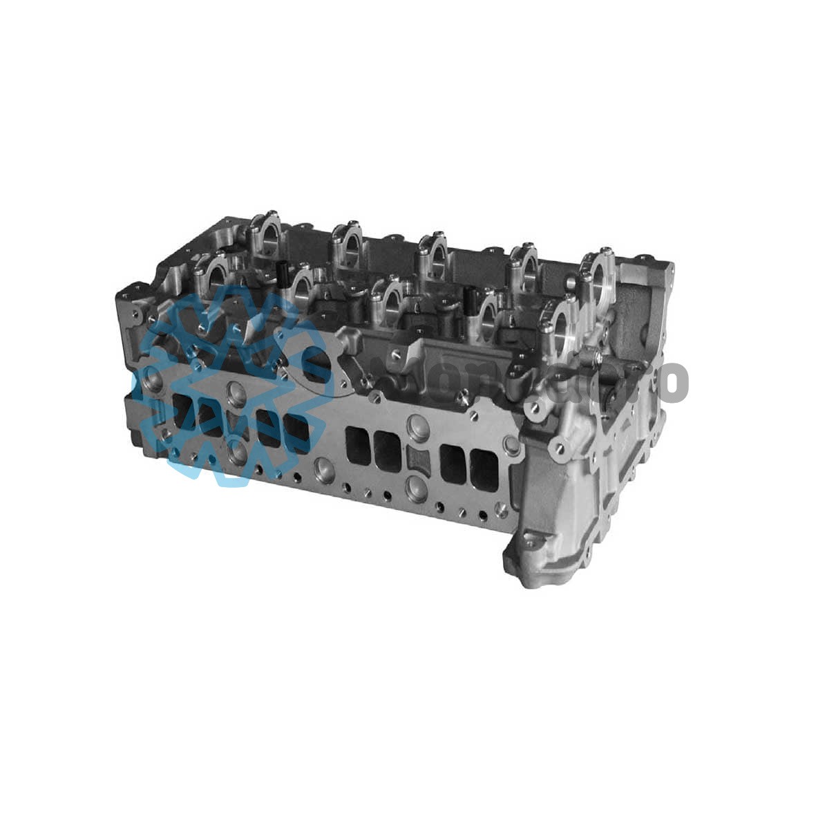 MONEDERO Cylinder Head Article number: 10012000042 cheaply