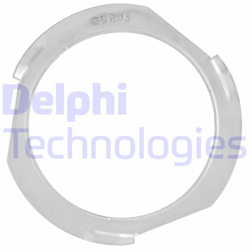 DELPHI Drivstoffpumpe artikkelnummer: FA10010-11B1 billig