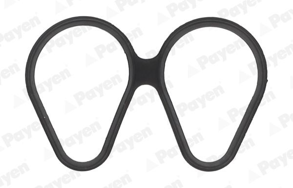 PAYEN Inlet manifold gasket Article number: JD6161 cheaply