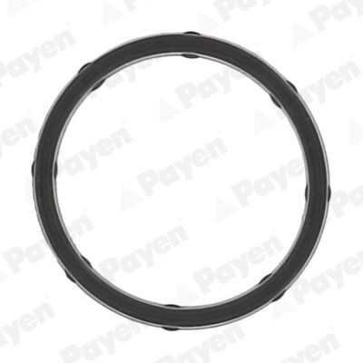 PAYEN Inlet manifold gasket Article number: JD6172 cheaply