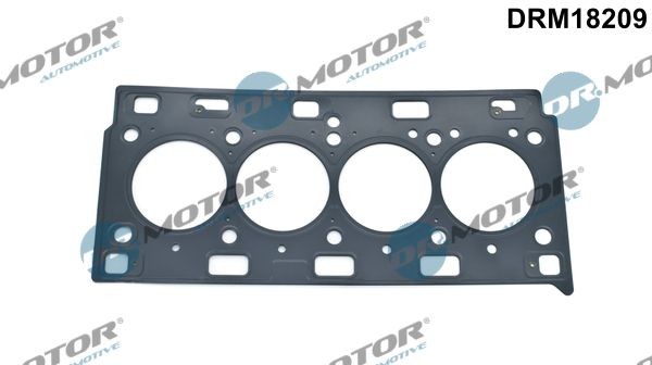 DR.MOTOR AUTOMOTIVE Gasket, cylinder head Article number: DRM18209 cheaply