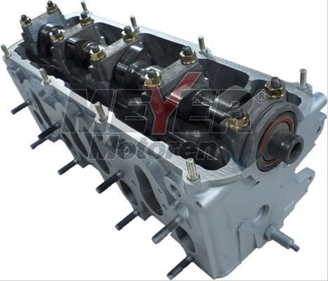 MEYER MOTOREN Cilindro galvutė prekės numeris: 013026360 nebrangu