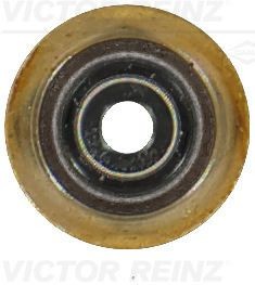 REINZ Valve stem seal Article number: 70-19255-00 cheaply