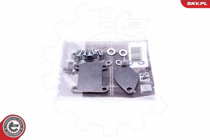 ESEN SKV Repair Kit, intake manifold module Article number: 14SKV502 cheaply