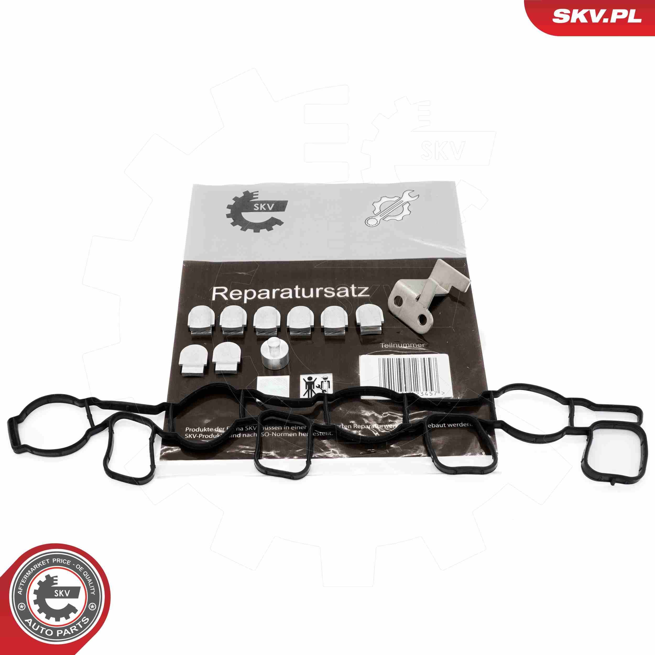 ESEN SKV Repair Kit, intake manifold module Article number: 49SKV511 cheaply