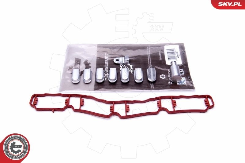 ESEN SKV Repair Kit, intake manifold module Article number: 49SKV521 cheaply