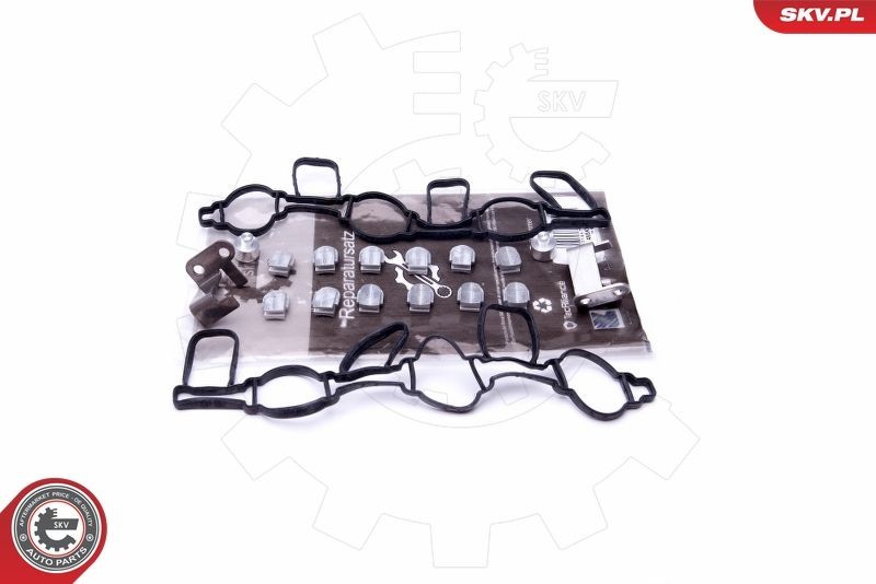 ESEN SKV Repair Kit, intake manifold module Article number: 49SKV523 cheaply