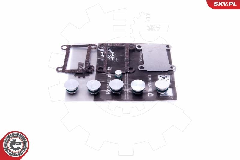 ESEN SKV 49SKV526 Repair Kit, intake manifold module THESIS 2.4 JTD (841.AXE1B0, 841.AXH110) 163 PS Diesel 2009