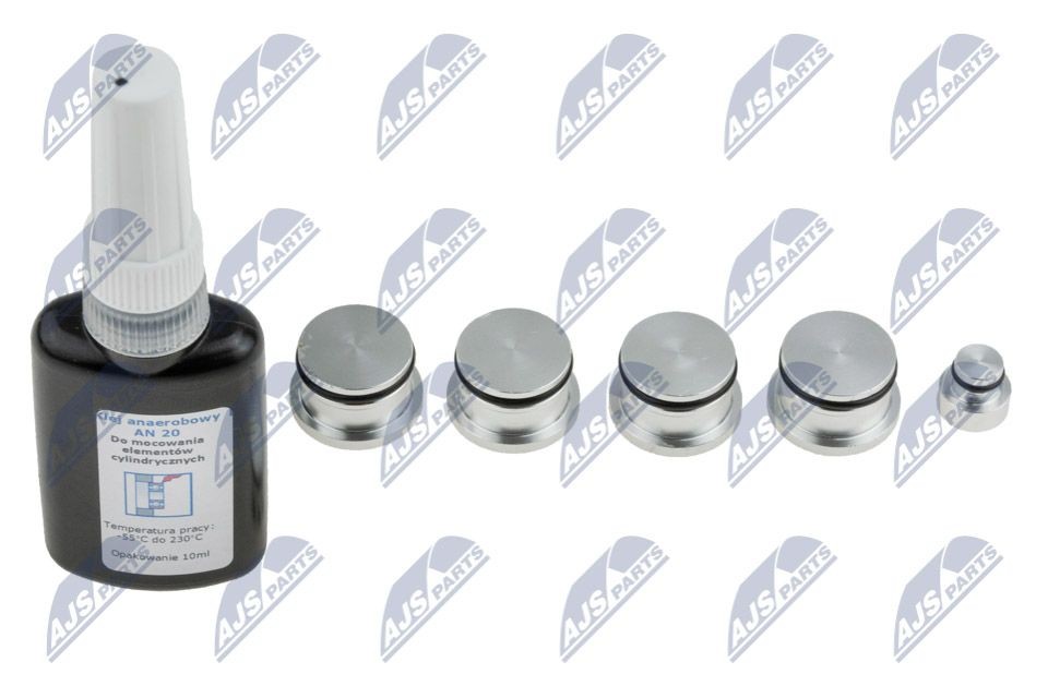 NTY BKS-PL-007 Repair Kit, intake manifold module STILO 1.9 JTD (192DXT1B) 150 PS Diesel 2008