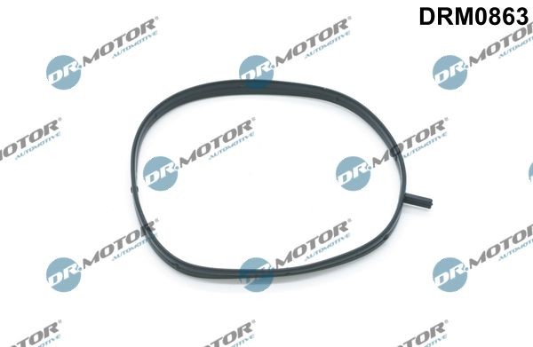 DR.MOTOR AUTOMOTIVE Gasket, intake manifold housing Article number: DRM0863 cheaply