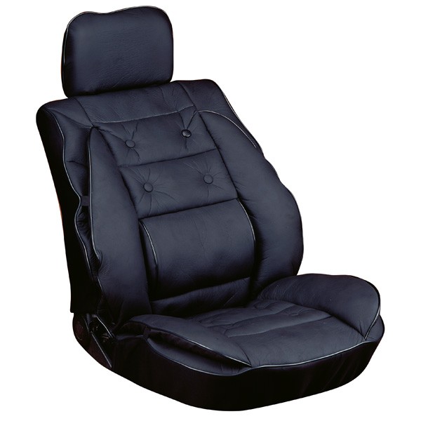 CARPOINT Lumbar support Article number: 0323273 cheaply