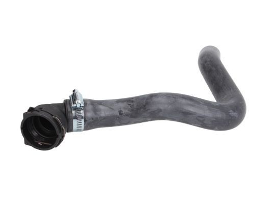 THERMOTEC Radiator hose Article number: DWG119TT cheaply