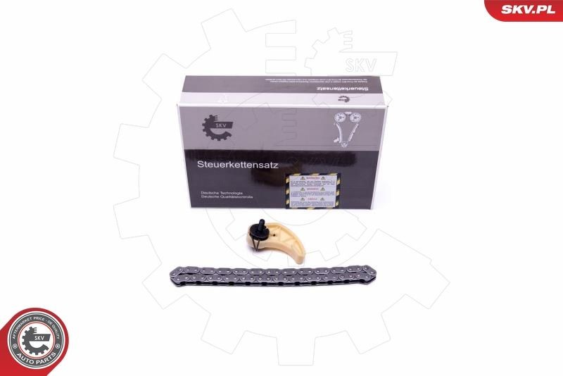 ESEN SKV 21SKV102 Chain Set, oil pump drive PASSAT 1.9 TDI 4motion 130 PS Diesel 2005