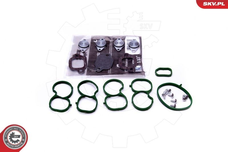 ESEN SKV 49SKV512 Repair Kit, intake manifold module FREEMONT 2.0 JTD 4x4 170 PS Diesel