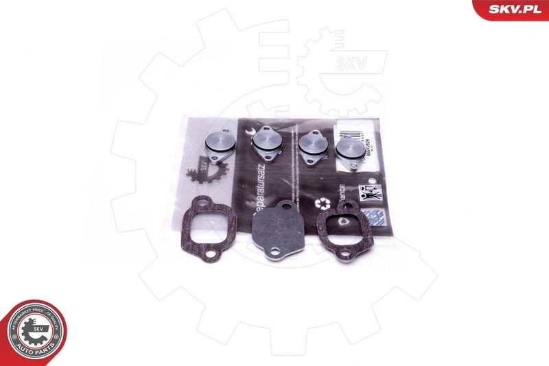 ESEN SKV 49SKV529 Repair Kit, intake manifold module FREEMONT 2.0 JTD 4x4 170 PS Diesel