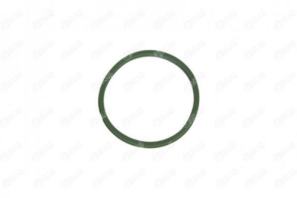 IBRAS Seal, turbo air hose Article number: 11978 cheaply