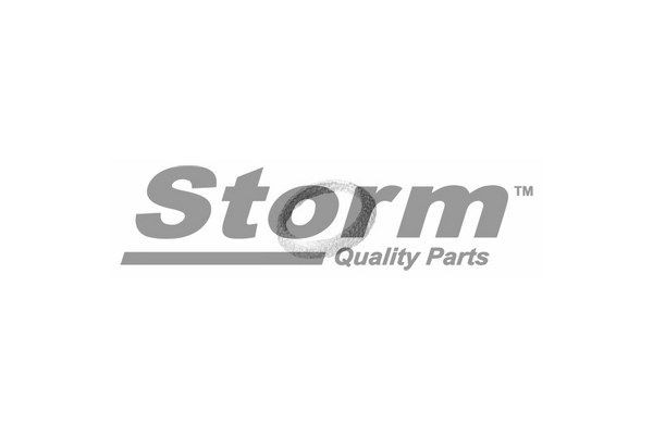 STORM QUALITY PARTS Mounting Kit, silencer Article number: F1605 cheaply