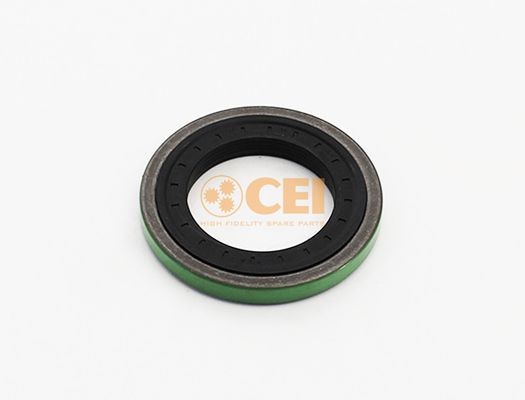 CEI Shaft Seal, differential Article number: 139.867 cheaply