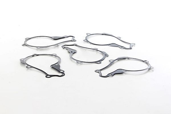 BSG Gasket, water pump Article number: BSG 30-116-169 cheaply