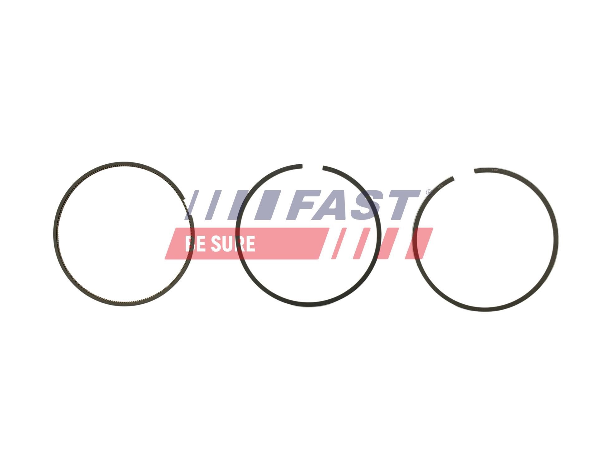 FAST Piston Ring Kit Article number: FT47394/0 cheaply