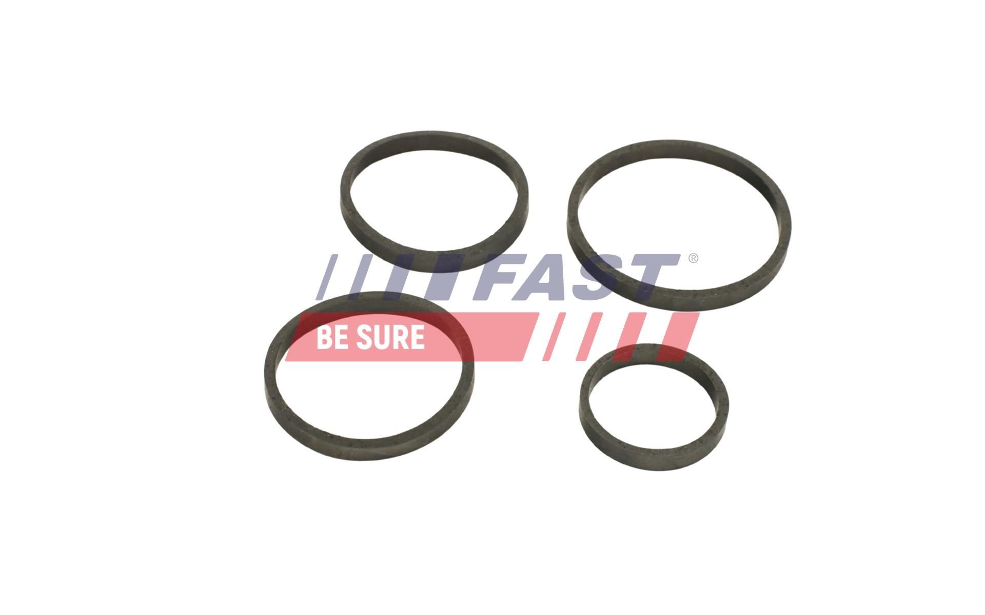 FAST Oil cooler gasket Article number: FT48930 cheaply
